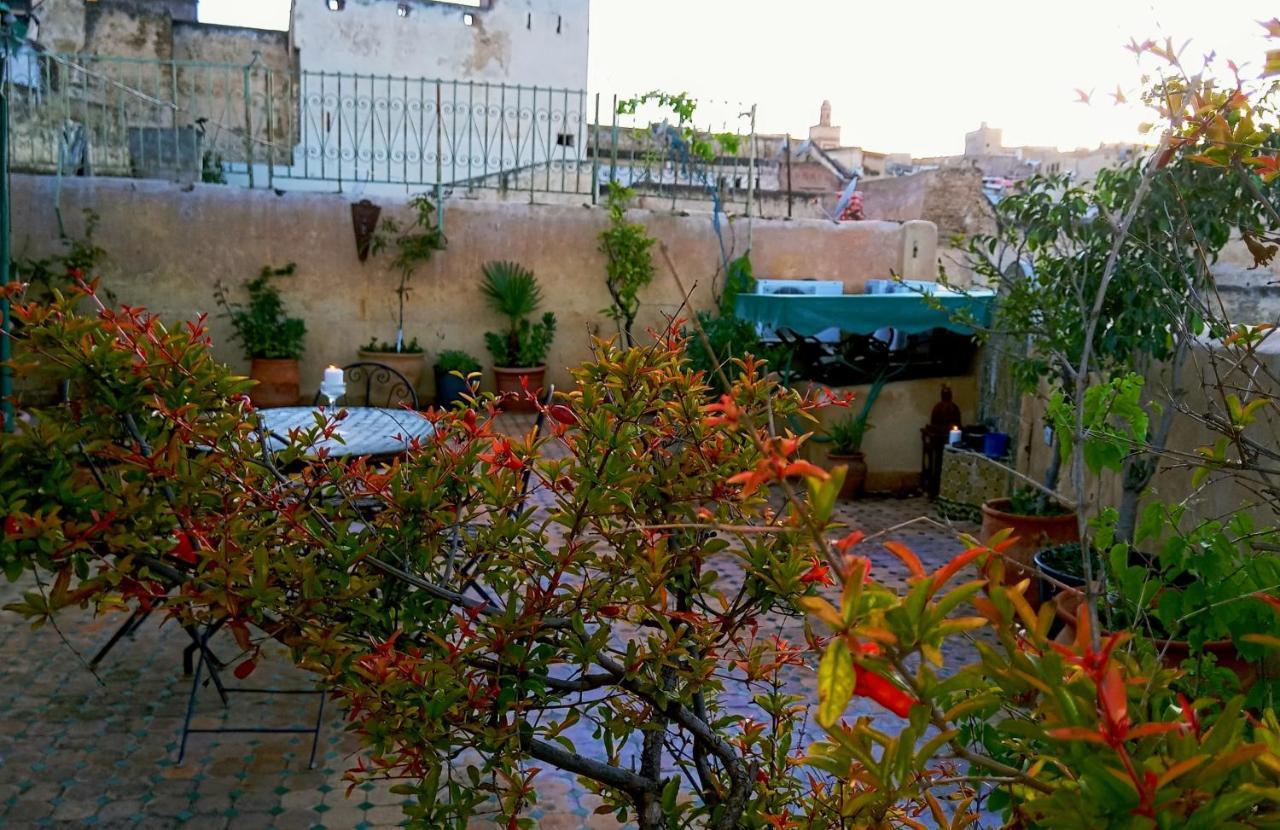 פס Riad Rchacha מראה חיצוני תמונה